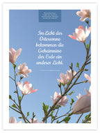Im Licht der Ostersonne I – Schatten