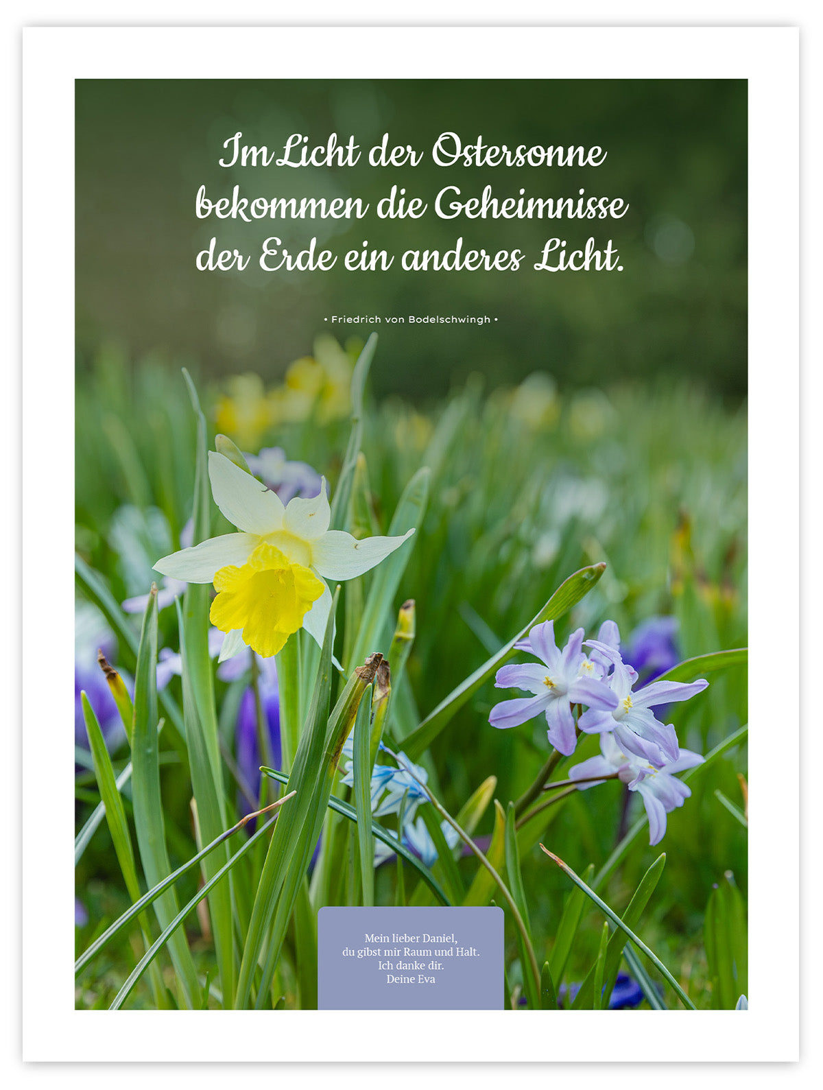 Im Licht der Ostersonne II – Schatten