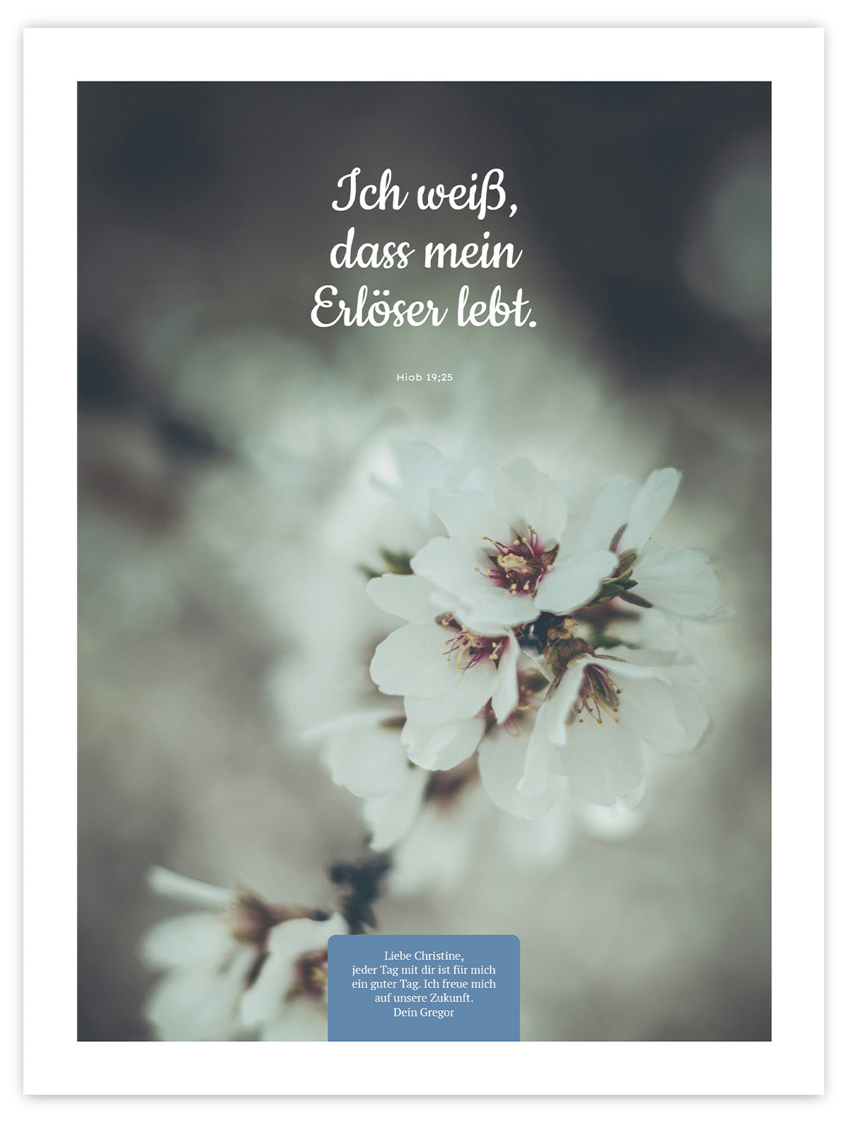 Mein Erlöser lebt – Schatten