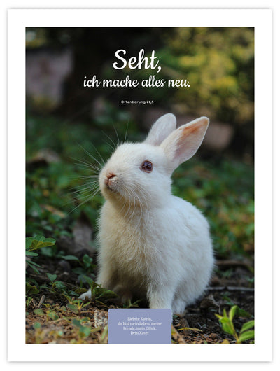 Ohne Rahmen