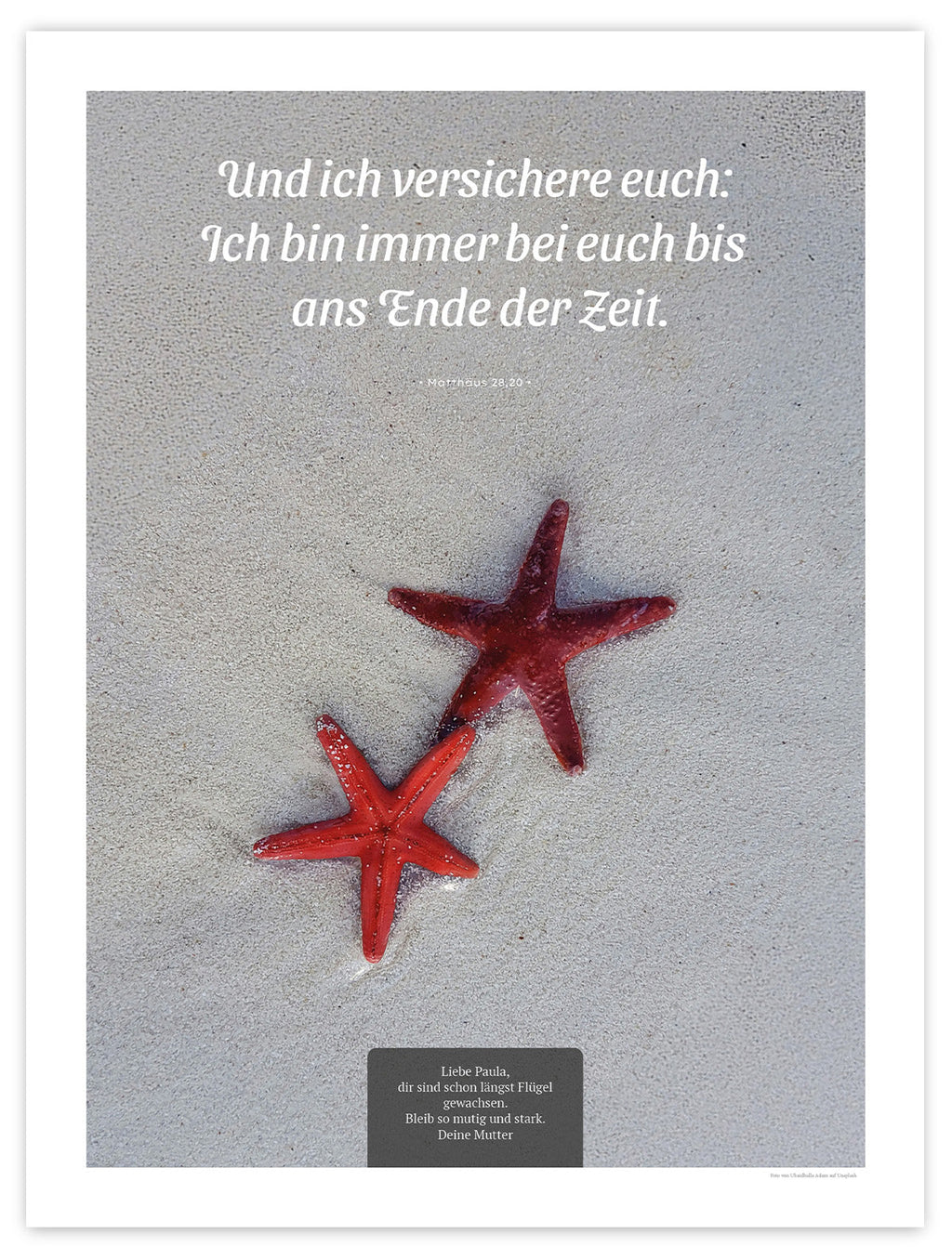 Bis ans Ende der Zeit IV – Schatten
