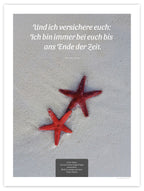 Bis ans Ende der Zeit IV – Schatten