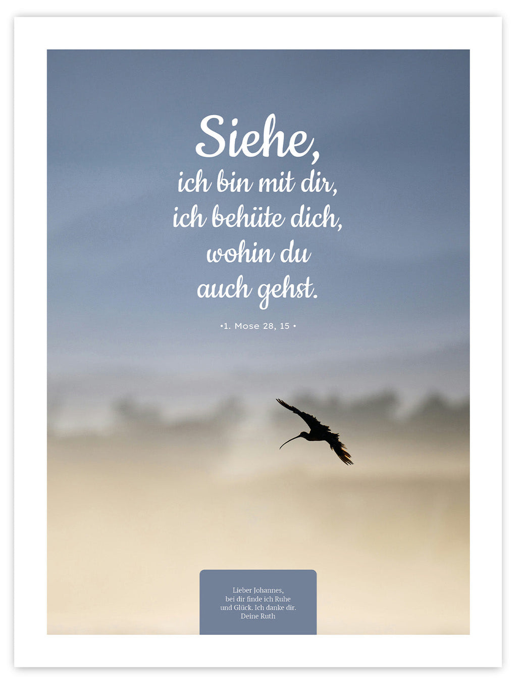 Wohin du auch gehst – Schatten