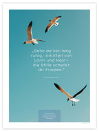 Die Stille schenkt dir Frieden III – Schatten