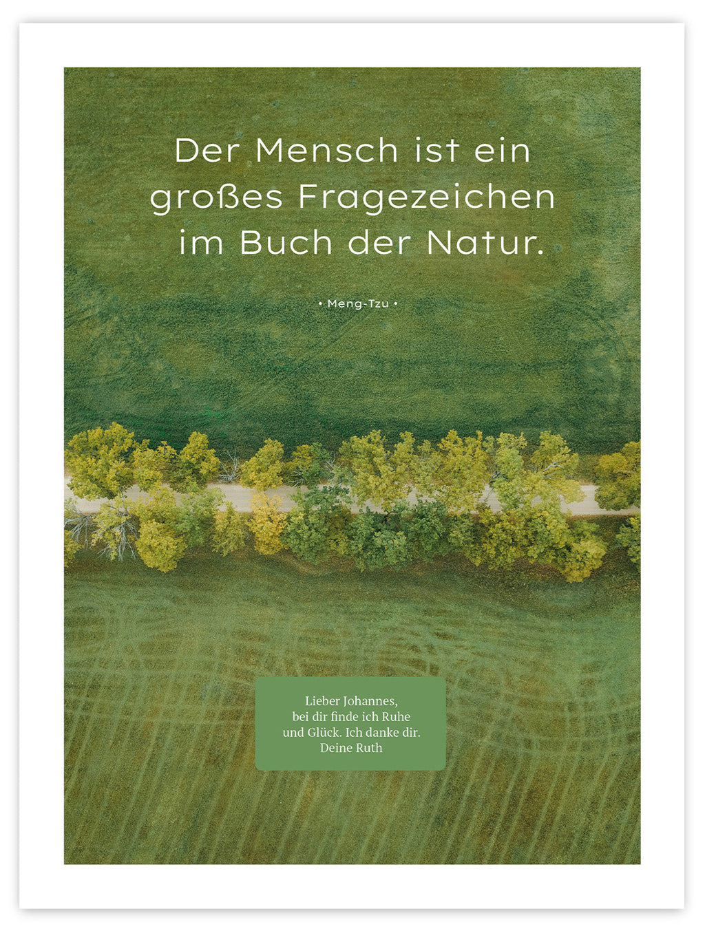 Buch der Natur II – Schatten