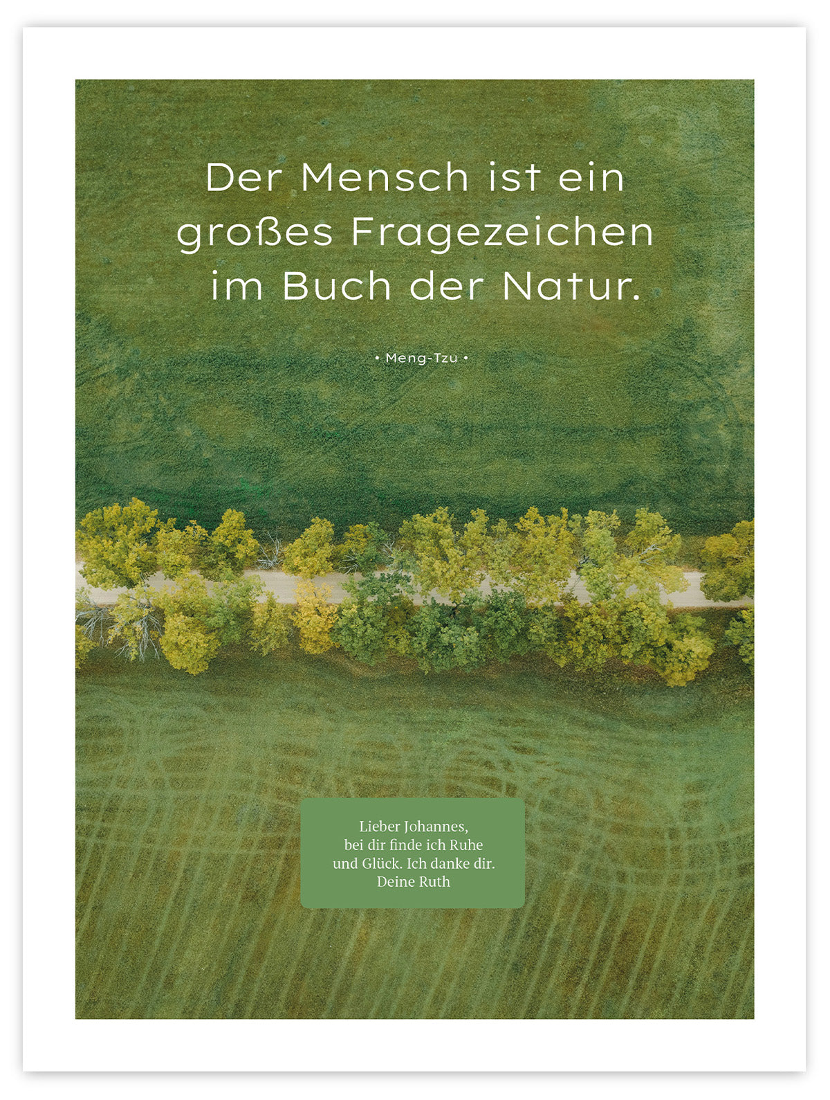 Buch der Natur II – Schatten