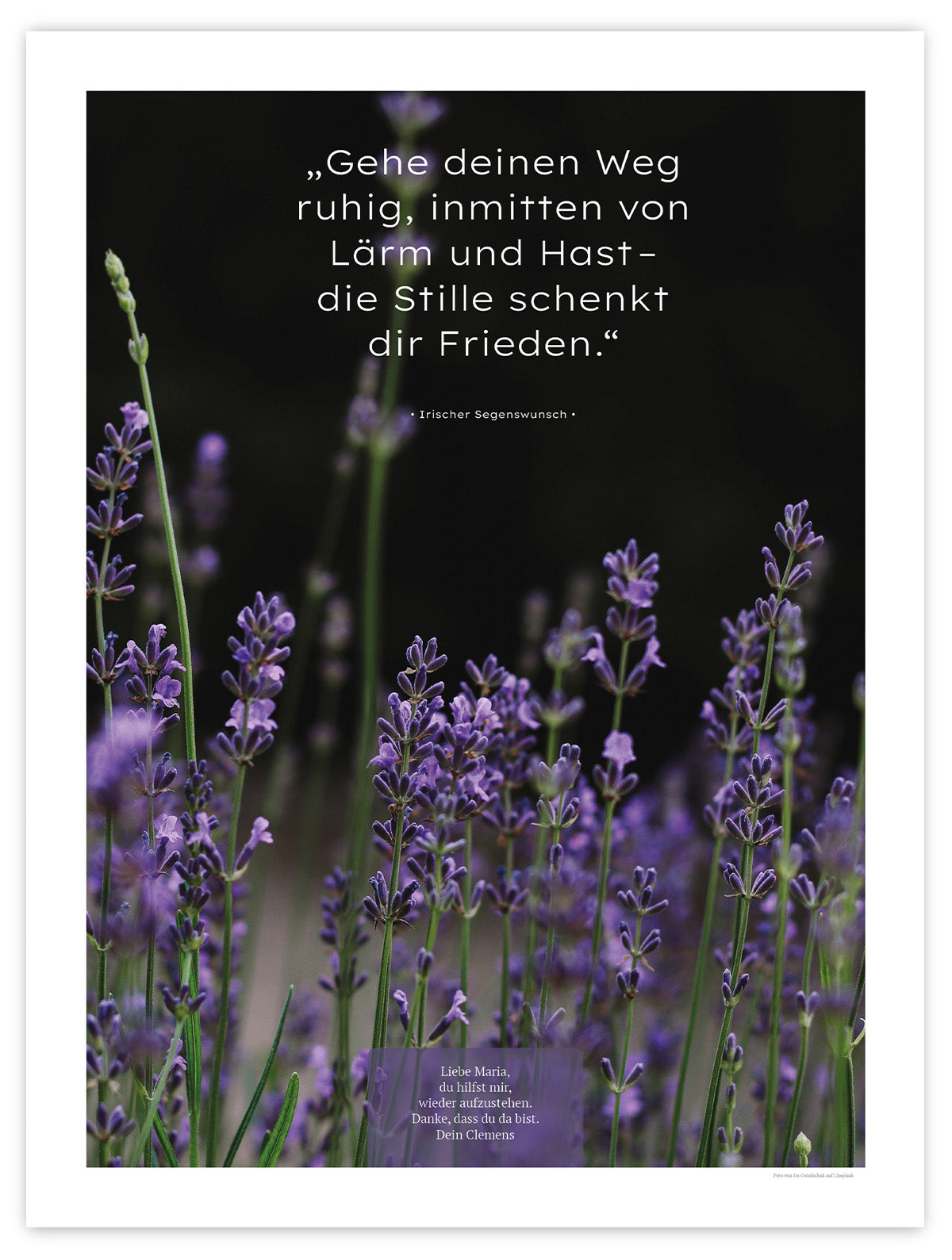 Die Stille schenkt dir Frieden VII – Schatten