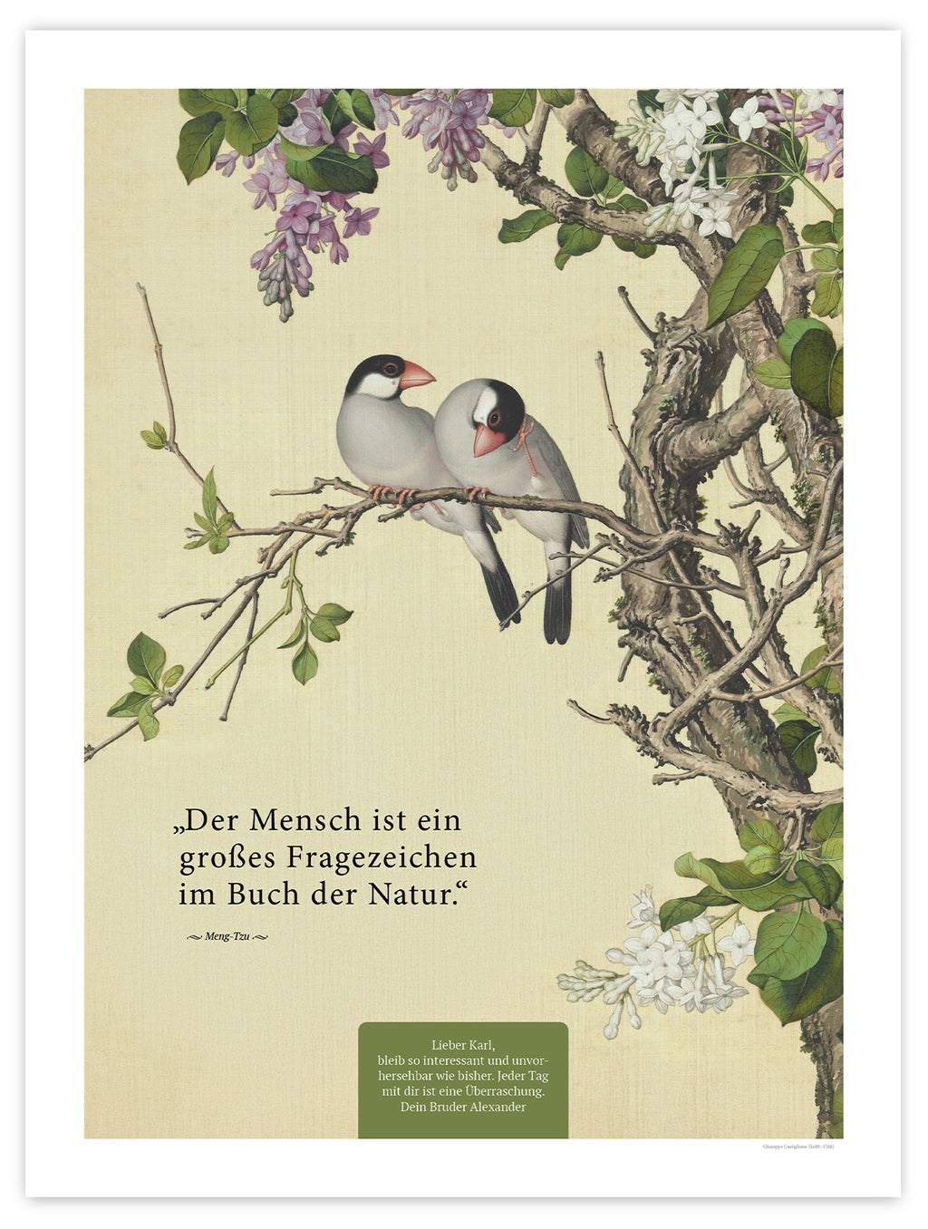 Buch der Natur – Motiv V – Poster ohne Rahmen – Segensposter 06