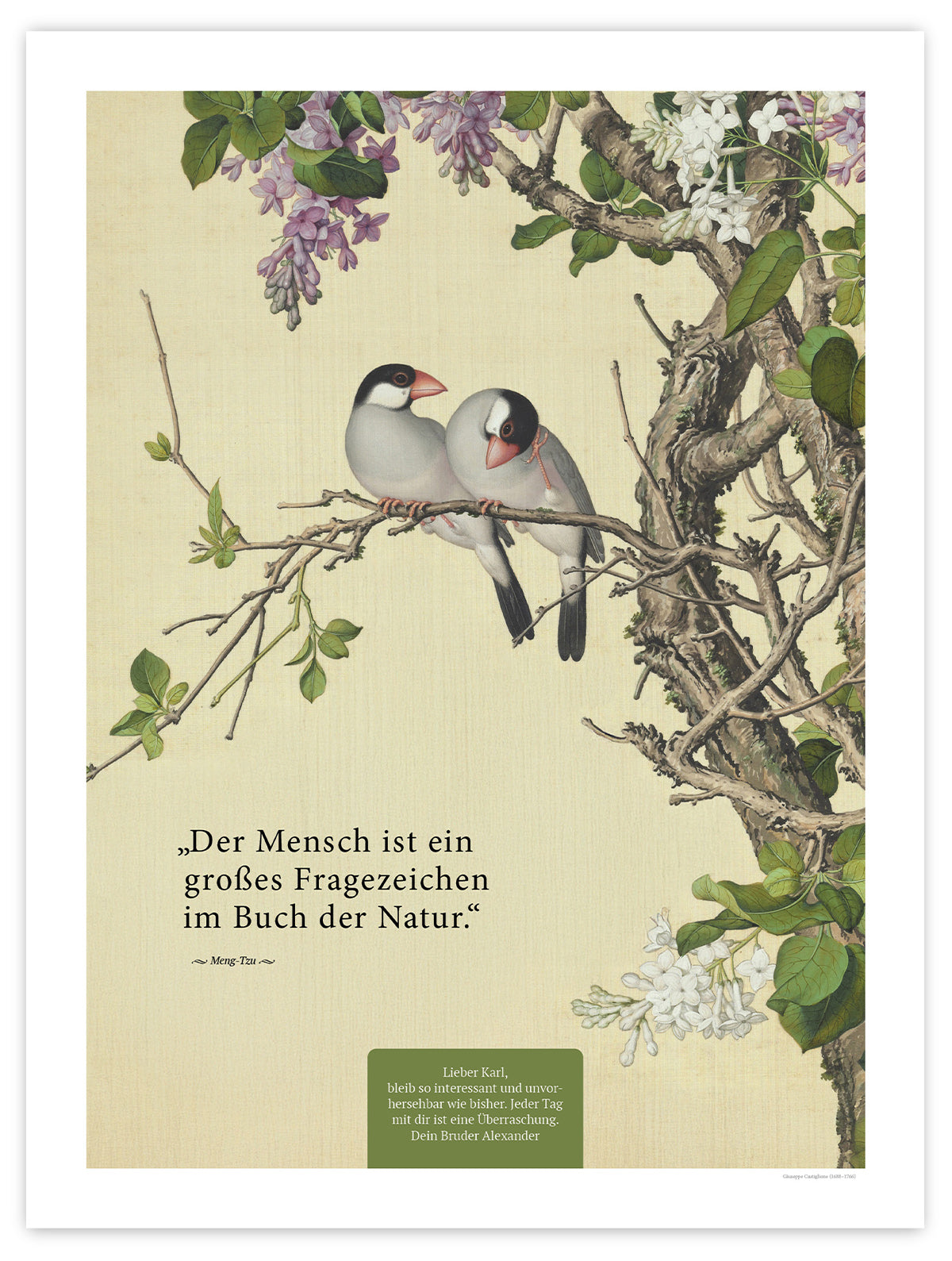 Buch der Natur – Motiv V – Poster ohne Rahmen – Segensposter 06